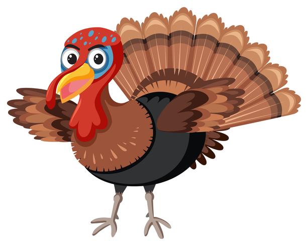 Gracias dando pavo fondo blanco vector