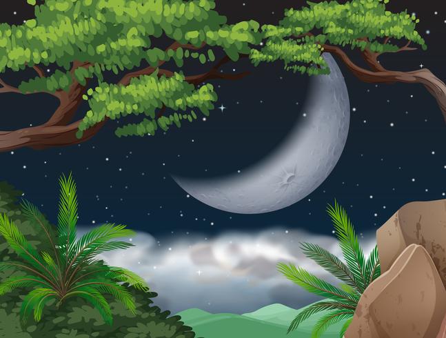 Cresent moon over jungle vector