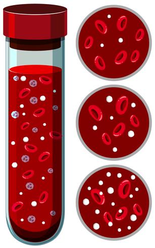 Un vector de plaquetas de sangre