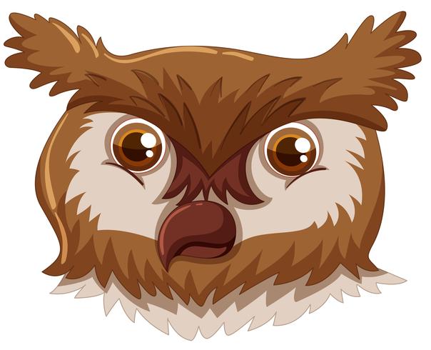 An owl face on white background vector