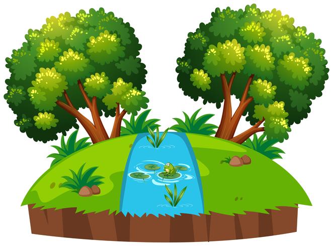An islolated river pond vector