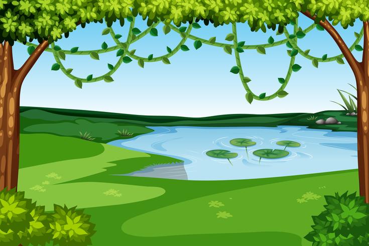 A nature lake view vector