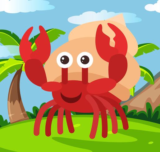 Happy Hermit crab in Land vector