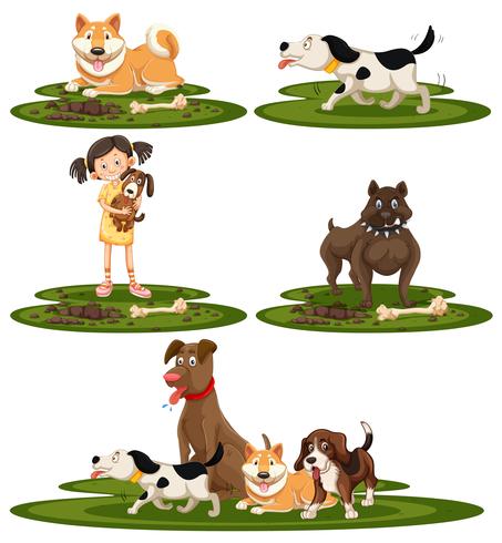 A set of dog breed vector