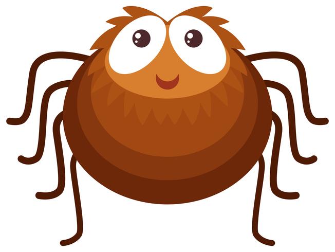 Brown spider on white background vector