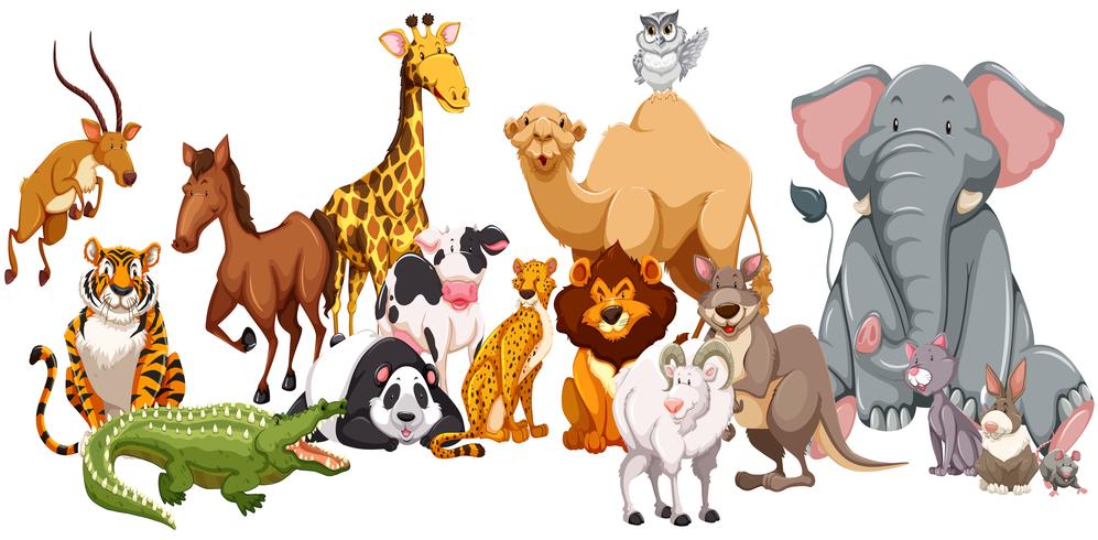 Different kind of wild animals vector