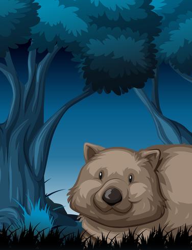 Wombat en escena nocturna de la naturaleza vector