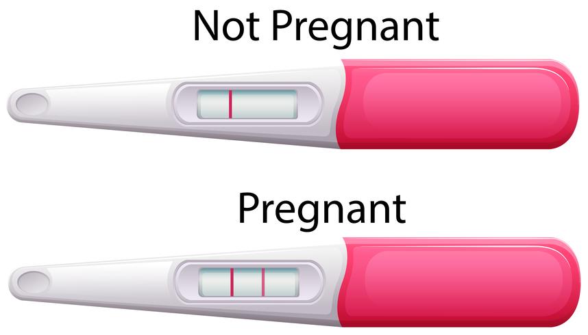 Pregnancy test sticks with results vector