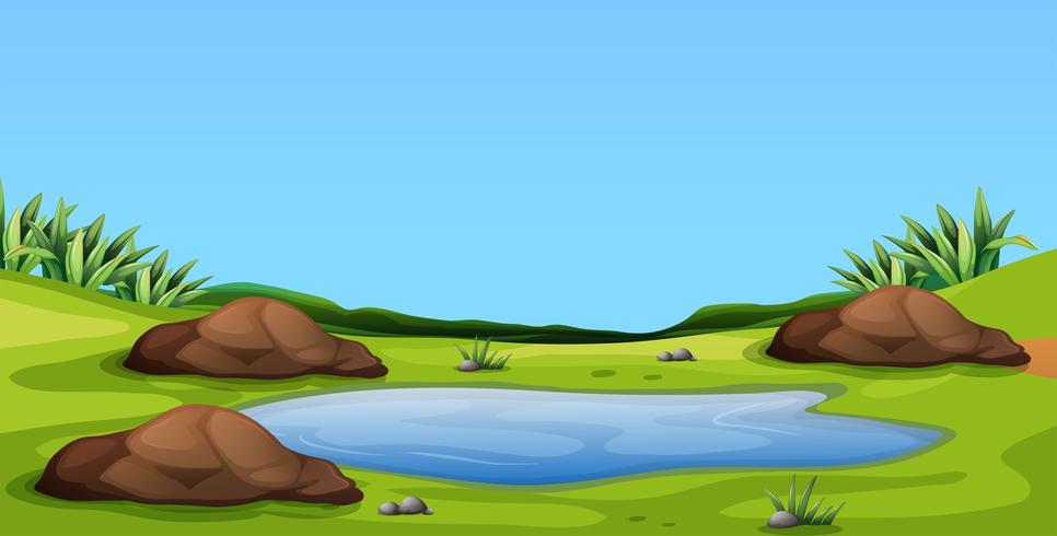 Scene with pond in the field vector