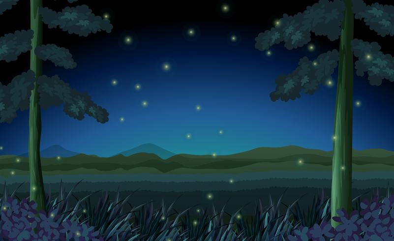 Scene with fireflies in forest at night vector