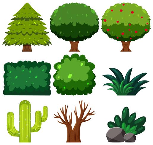 Set of green plant vector