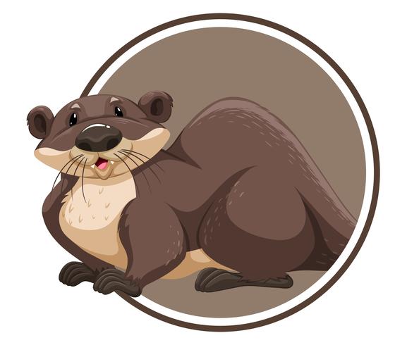 Otter in circle banner vector