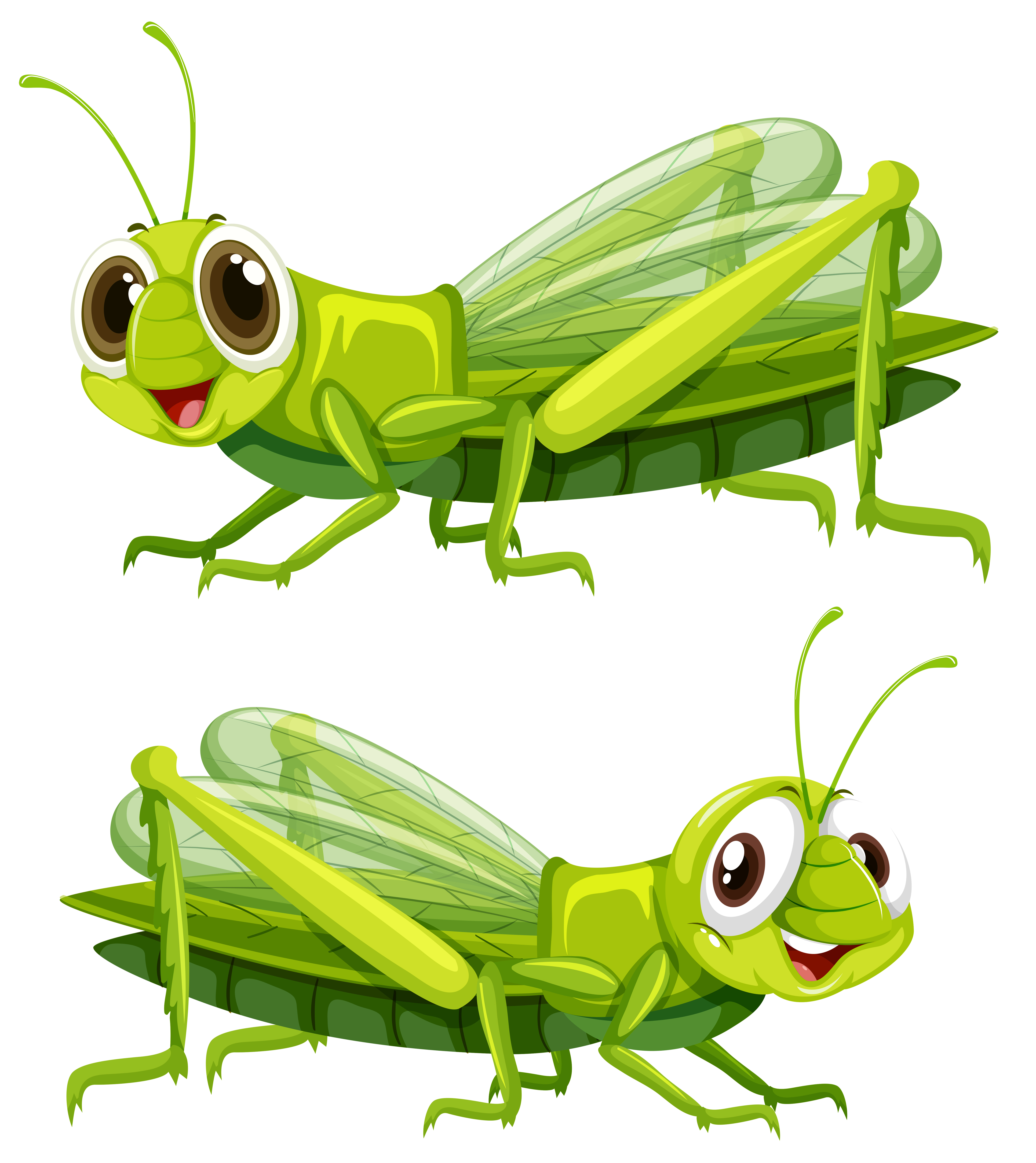 Grasshopper Vector Art, Icons, and Graphics for Free Download