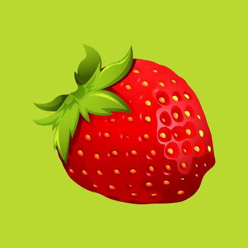 A Organic Strawberry on Green Background  vector