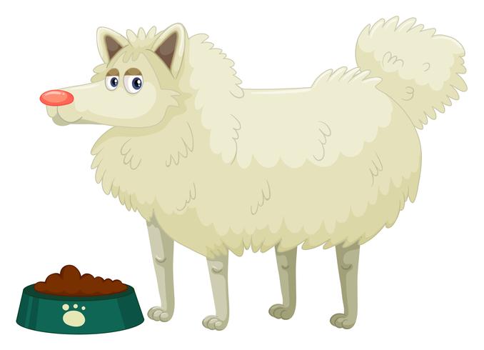 Lindo perro de piel blanca. vector