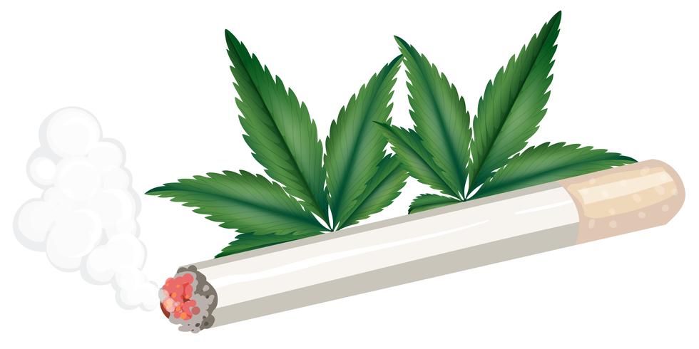 A joint of weed 297306 Vector Art at Vecteezy