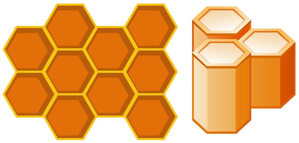 Vista frontal y lateral de nido de abeja vector