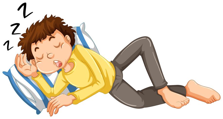 Boy taking a nap vector