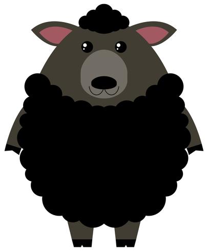 Black sheep on white background vector