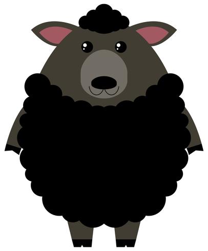 Black sheep on white background vector