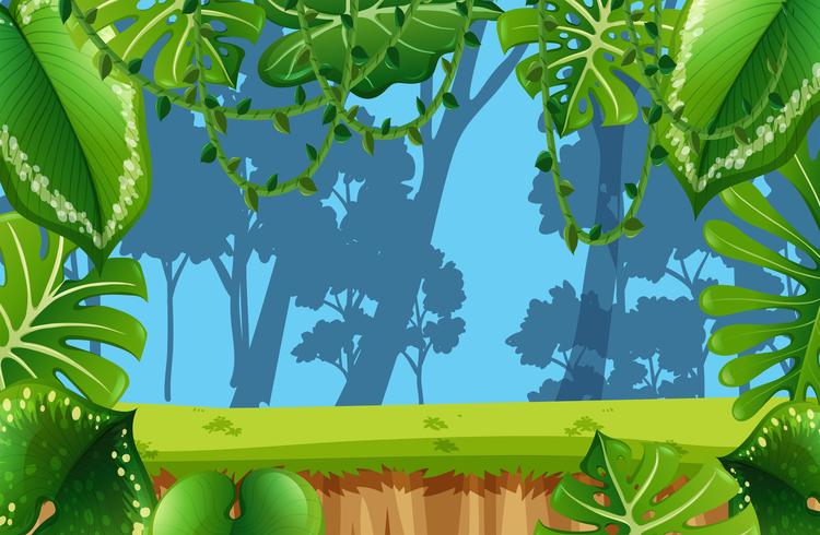 Escena de la selva vacía vector