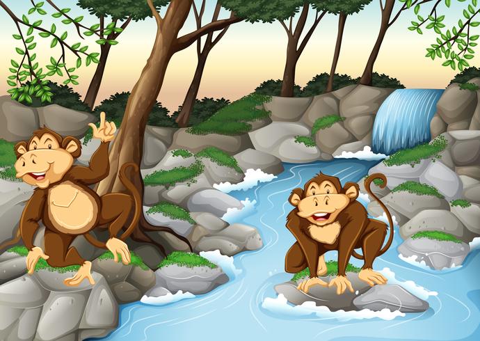 Two monkeys living by the waterfall vector