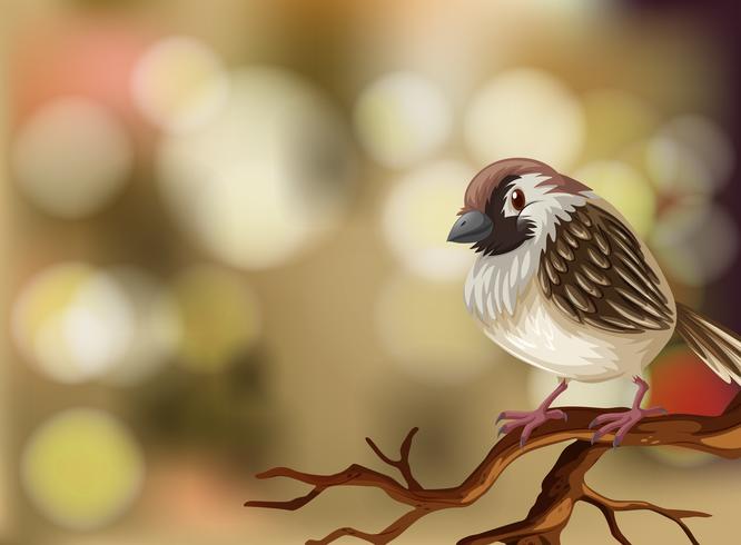 A sparrow on blurry background vector