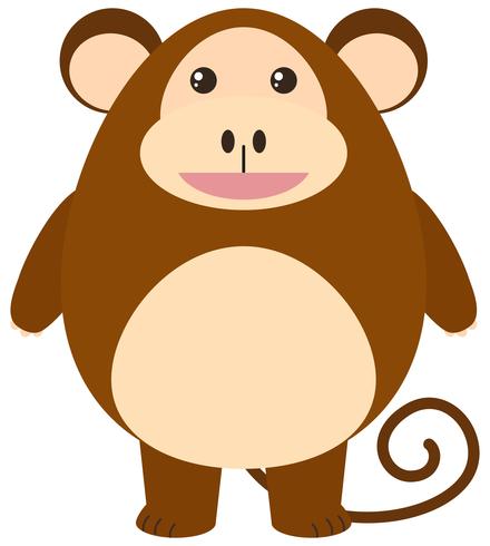 Cute monkey on white background vector