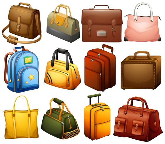 Collection of different bags vector