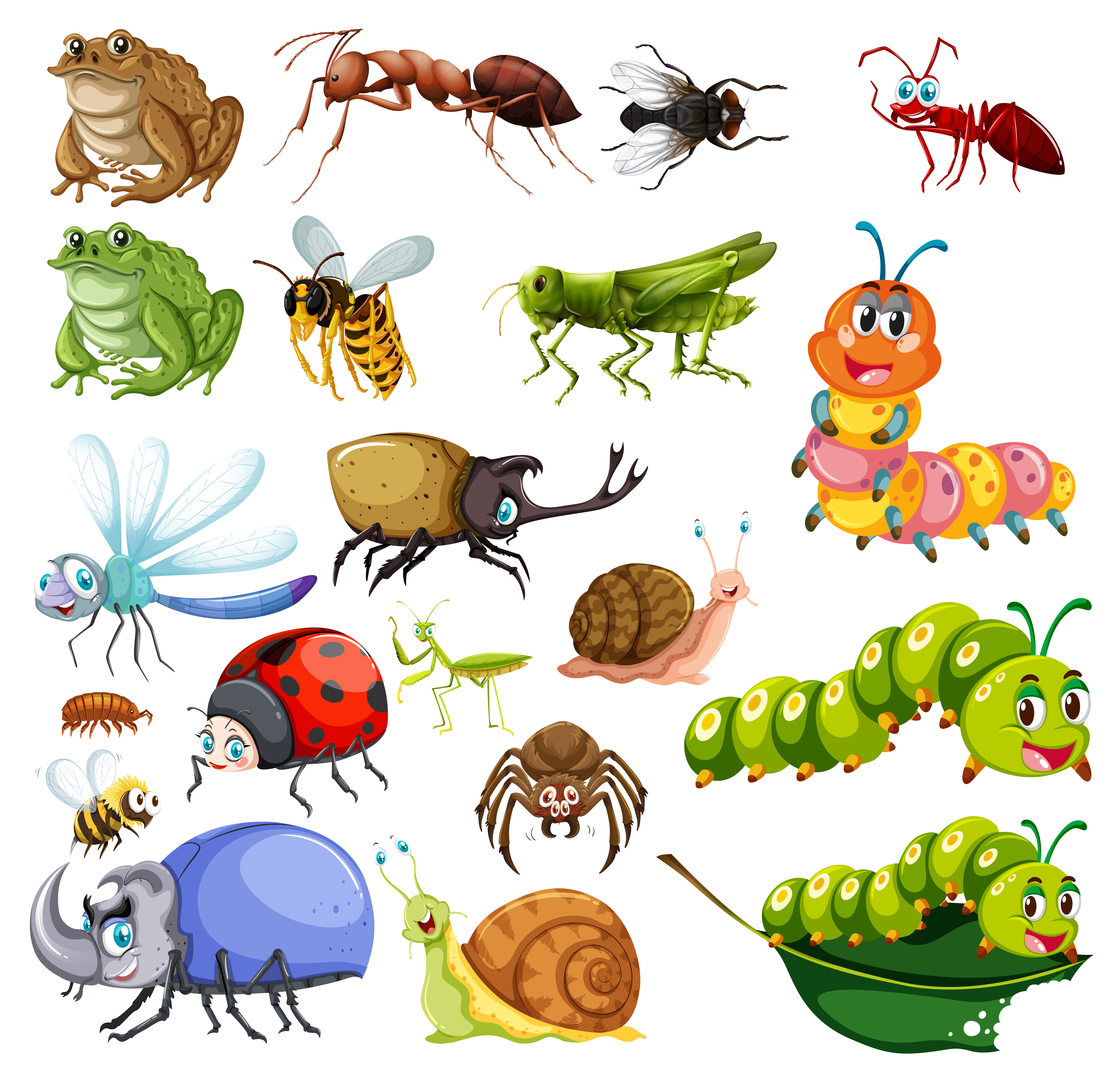 Different types of insects - Download Free Vectors ...
