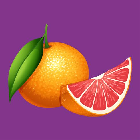 An Organice Grapefruit on Purple Background vector