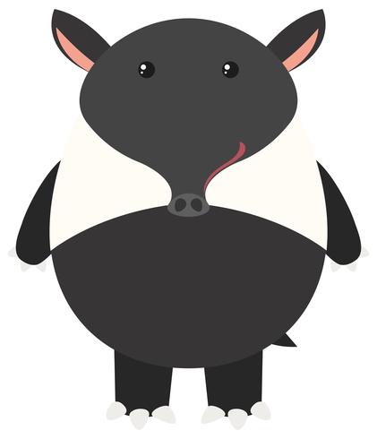 Tapir sobre fondo blanco vector