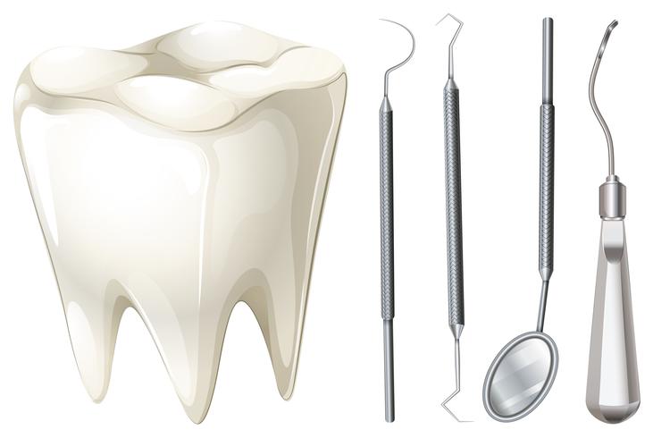Dental set with tooth and equipment vector