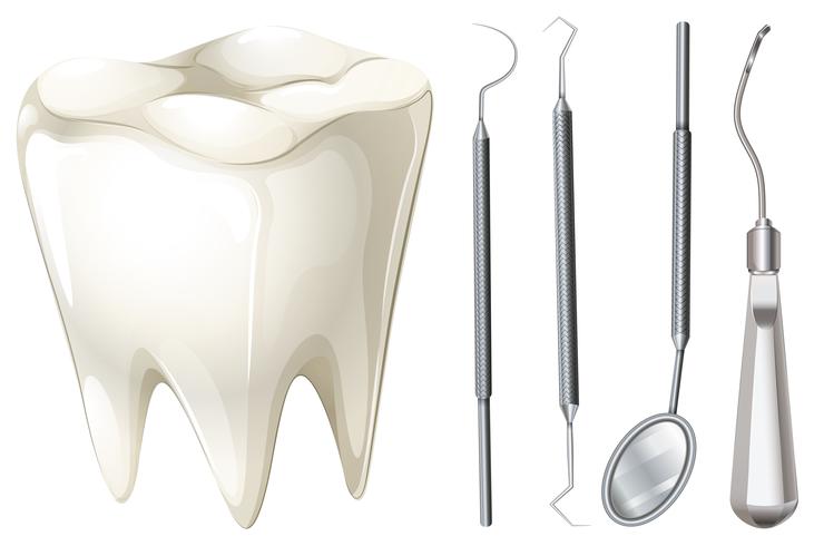 Set dental con dientes y equipamiento. vector