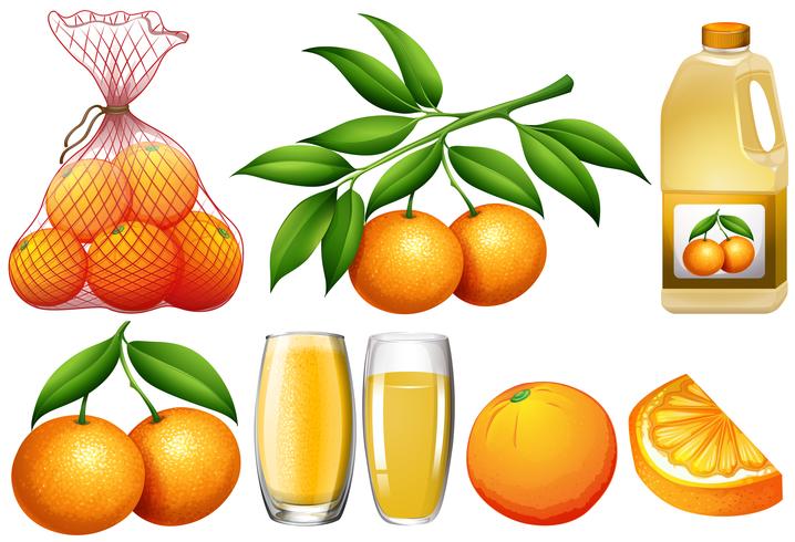 Naranjas y productos a la naranja. vector