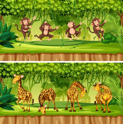 Set of wild animals landscape vector
