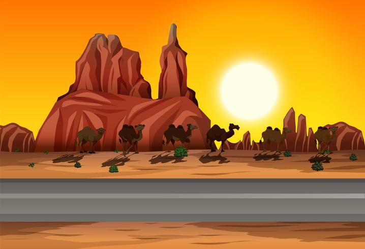 Desierto de la escena de la carretera del atardecer vector