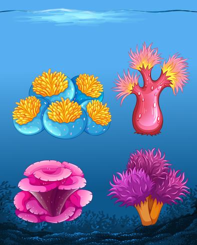 Conjunto de diferentes arrecifes de coral vector