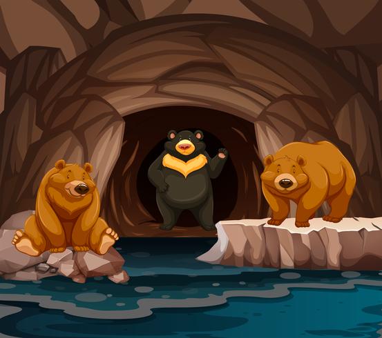 Bears living in the cave vector