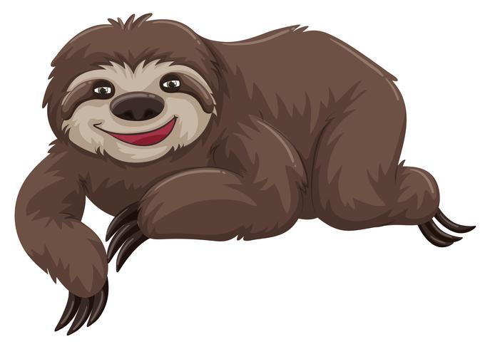 Sloth with happy face vector