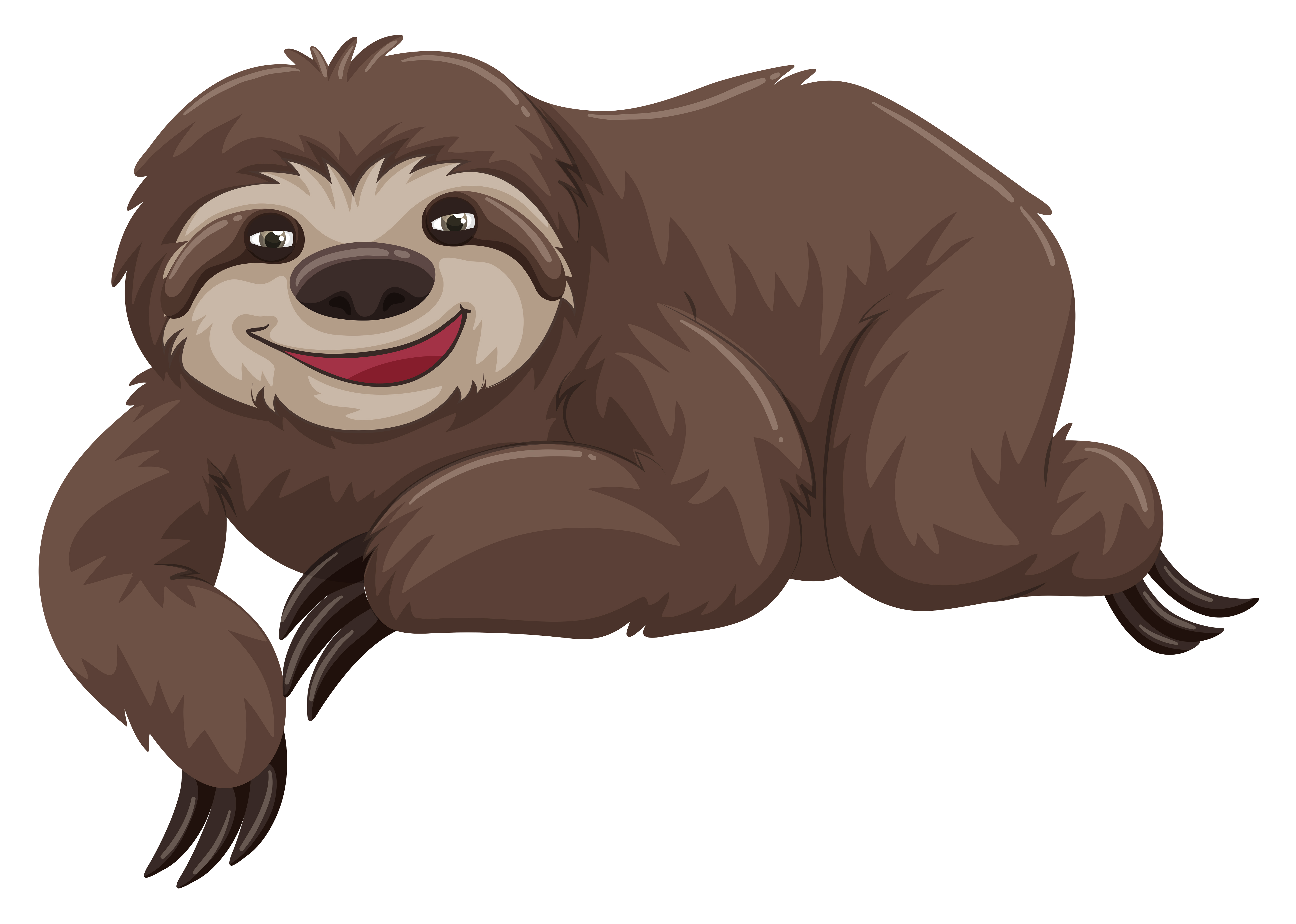 Sloth with happy face 297780 Download Free  Vectors 