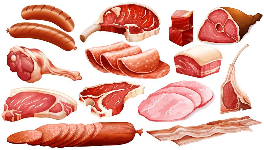 Different types of meat products vector