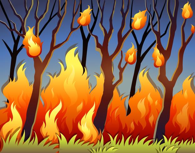 Trees in forest on fire - Download Free Vector Art, Stock Graphics & Images