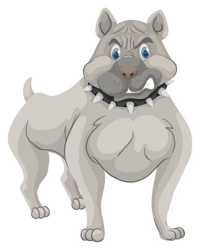 Perro pitbull con collar de espiga. vector