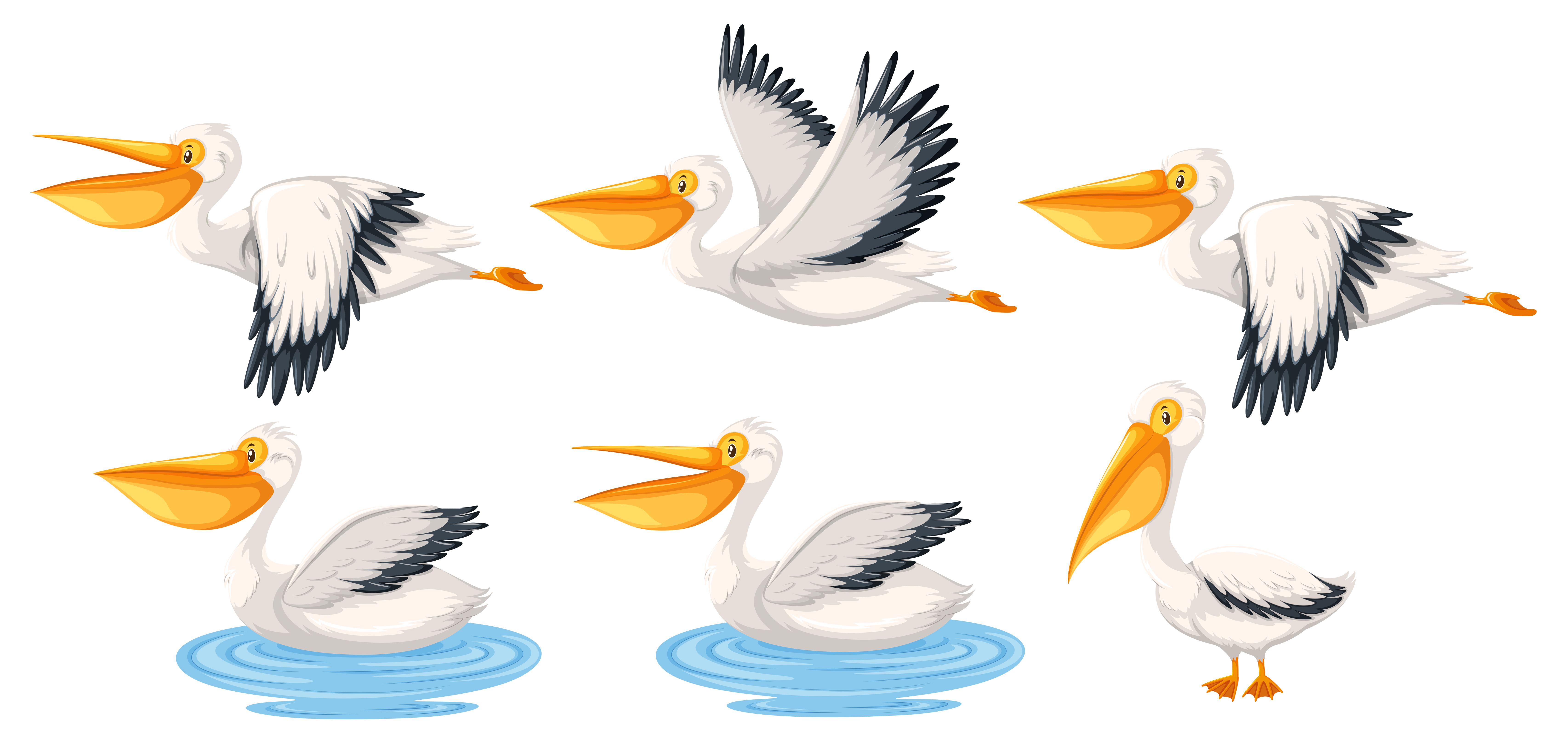 Set of pelican character 297904 - Download Free Vectors, Clipart