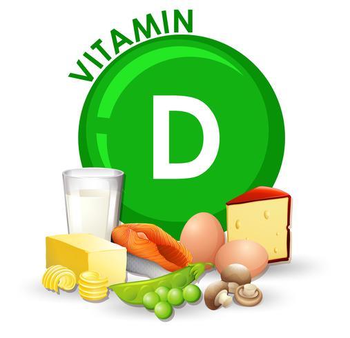 Un conjunto de alimentos con vitamina D vector