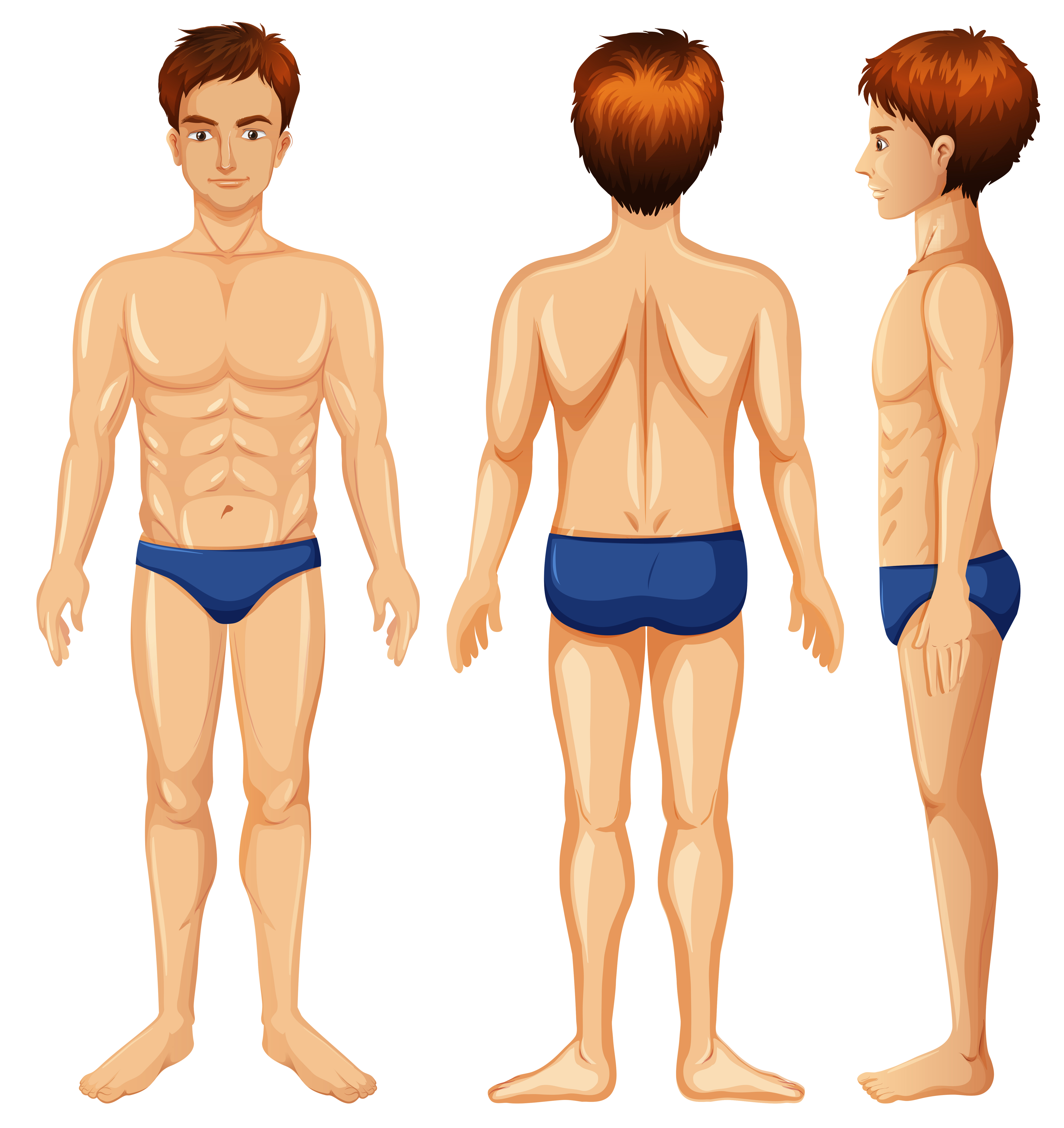 A Set of Male Body 297923 Vector Art at Vecteezy