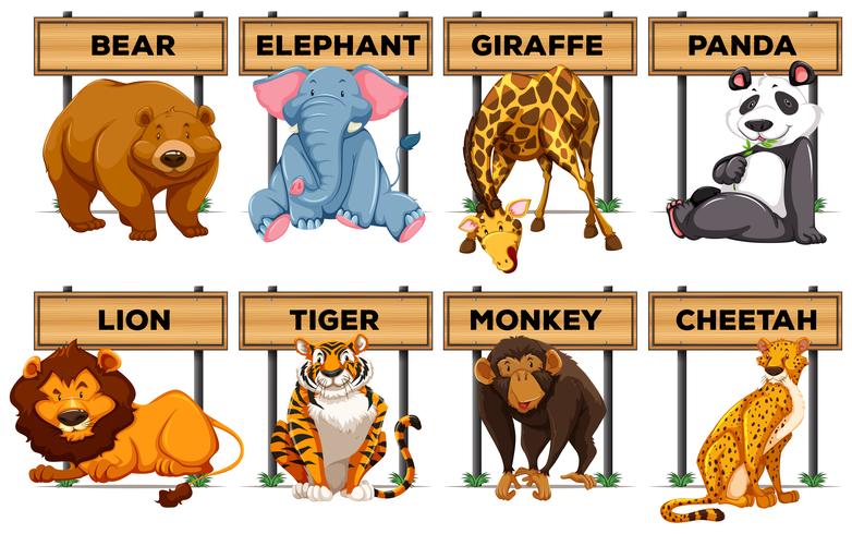 Many type of animals with wooden signs vector