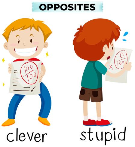 Opposite words for clever and stupid vector