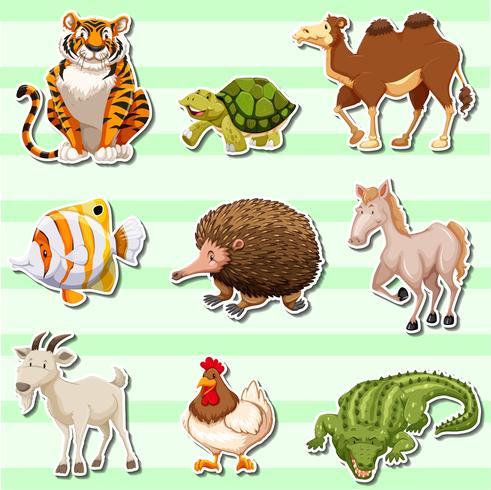 Sticker set with wild animals vector